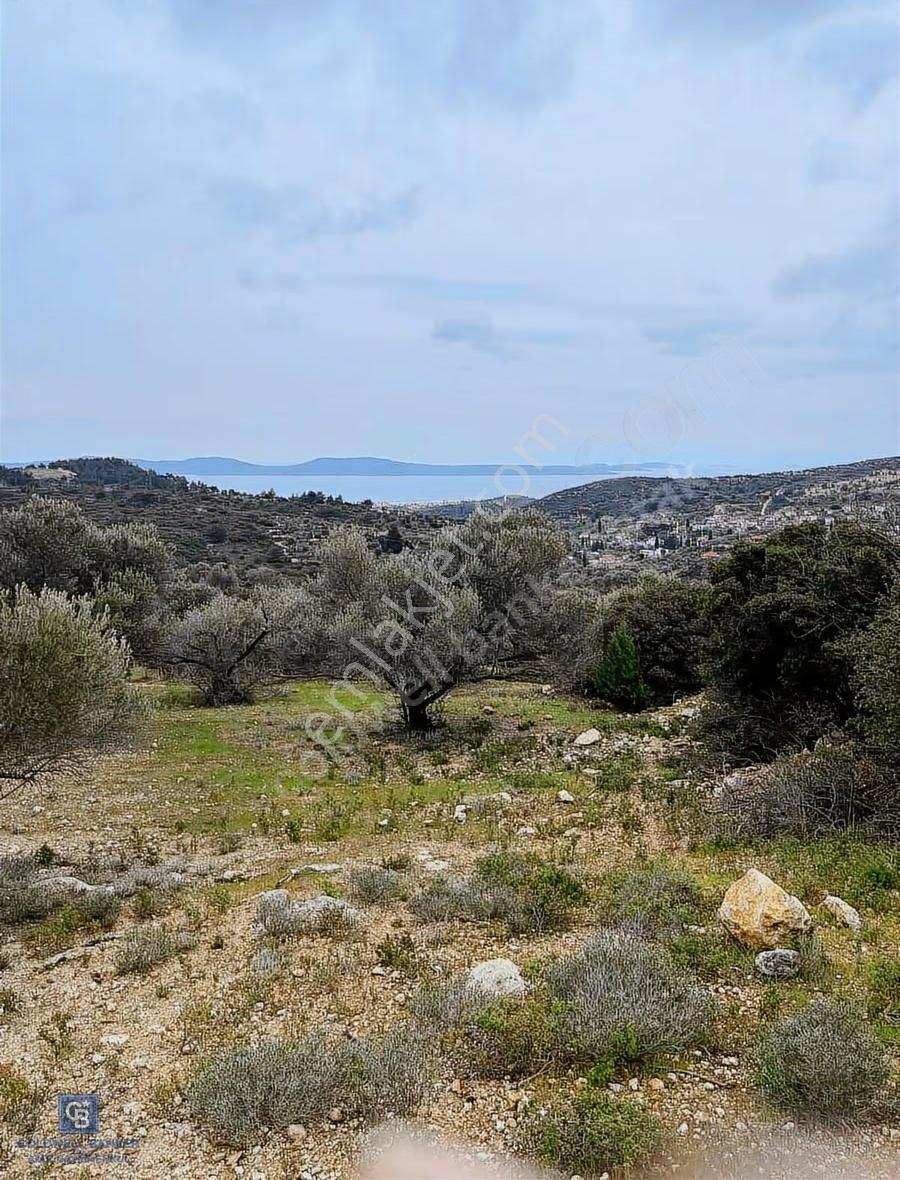 Deniz Ve Doğa Manzaralı Muhteşem Arazi