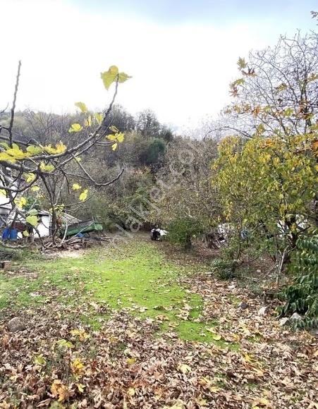 Yalova Çınarcık Teşvikiye Köyiçinde Satılık Villa İmarlı 662 M2 - Görsel 2
