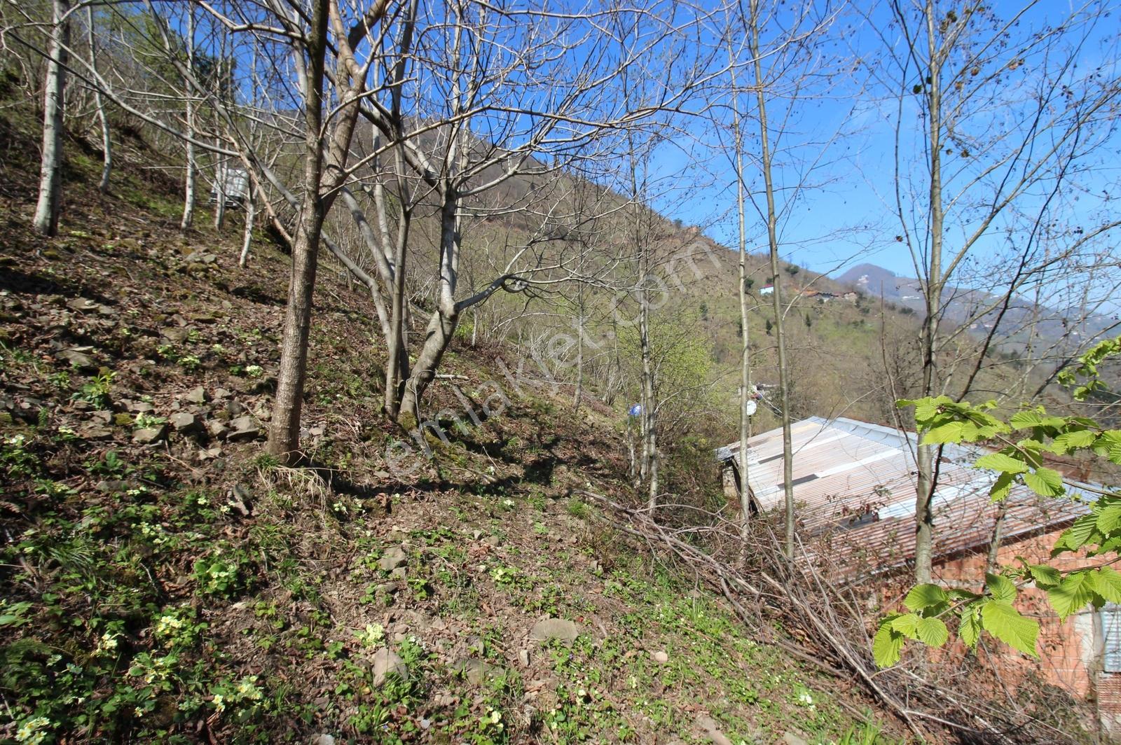 Kaçmaz Emlak'tan Trabzon Yomra Gülyurdu Mah Satılık Arazı - Görsel 13