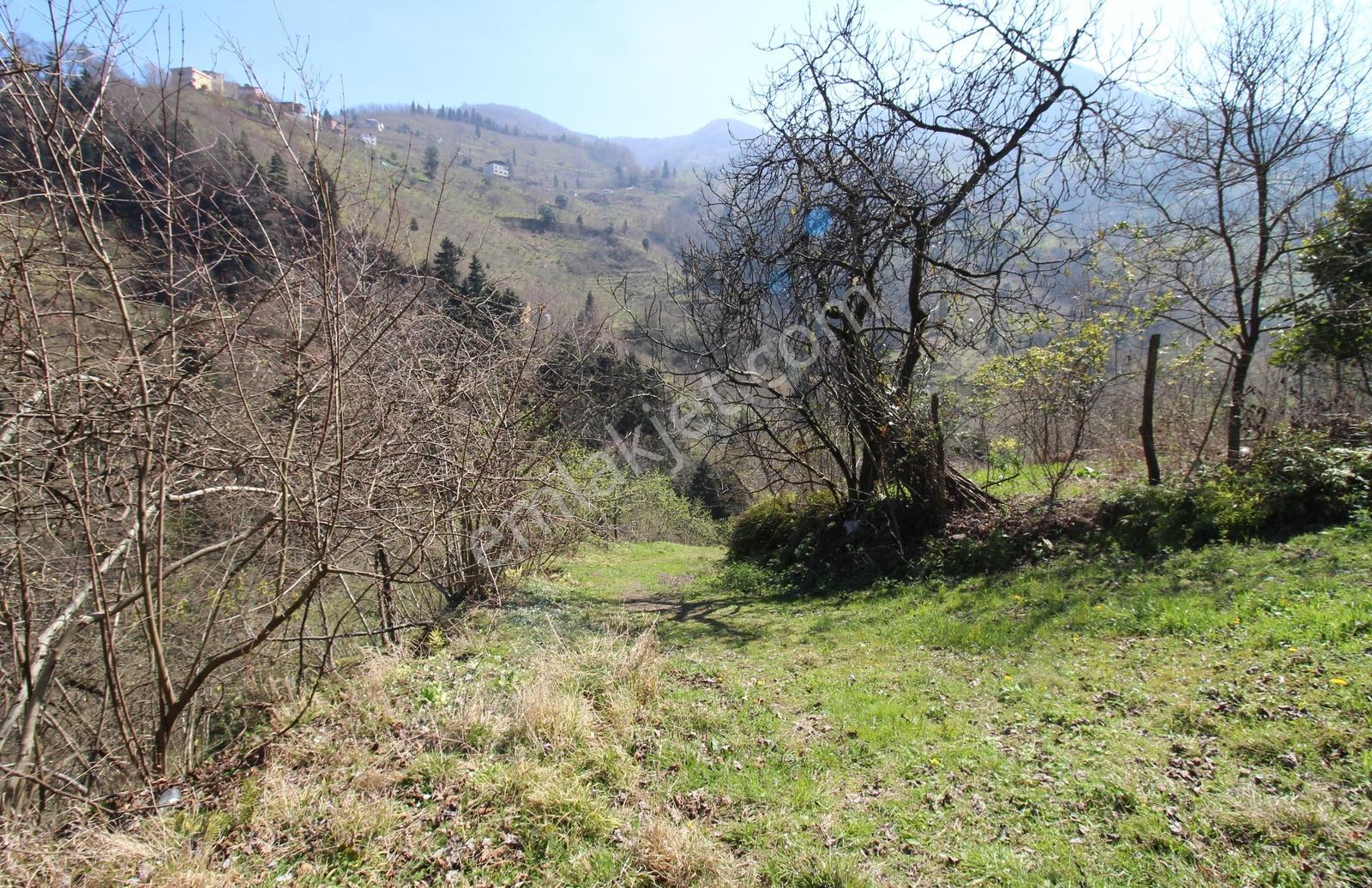 Kaçmaz Emlak'tan Trabzon Yomra Gülyurdu Mah Satılık Arazı - Görsel 15