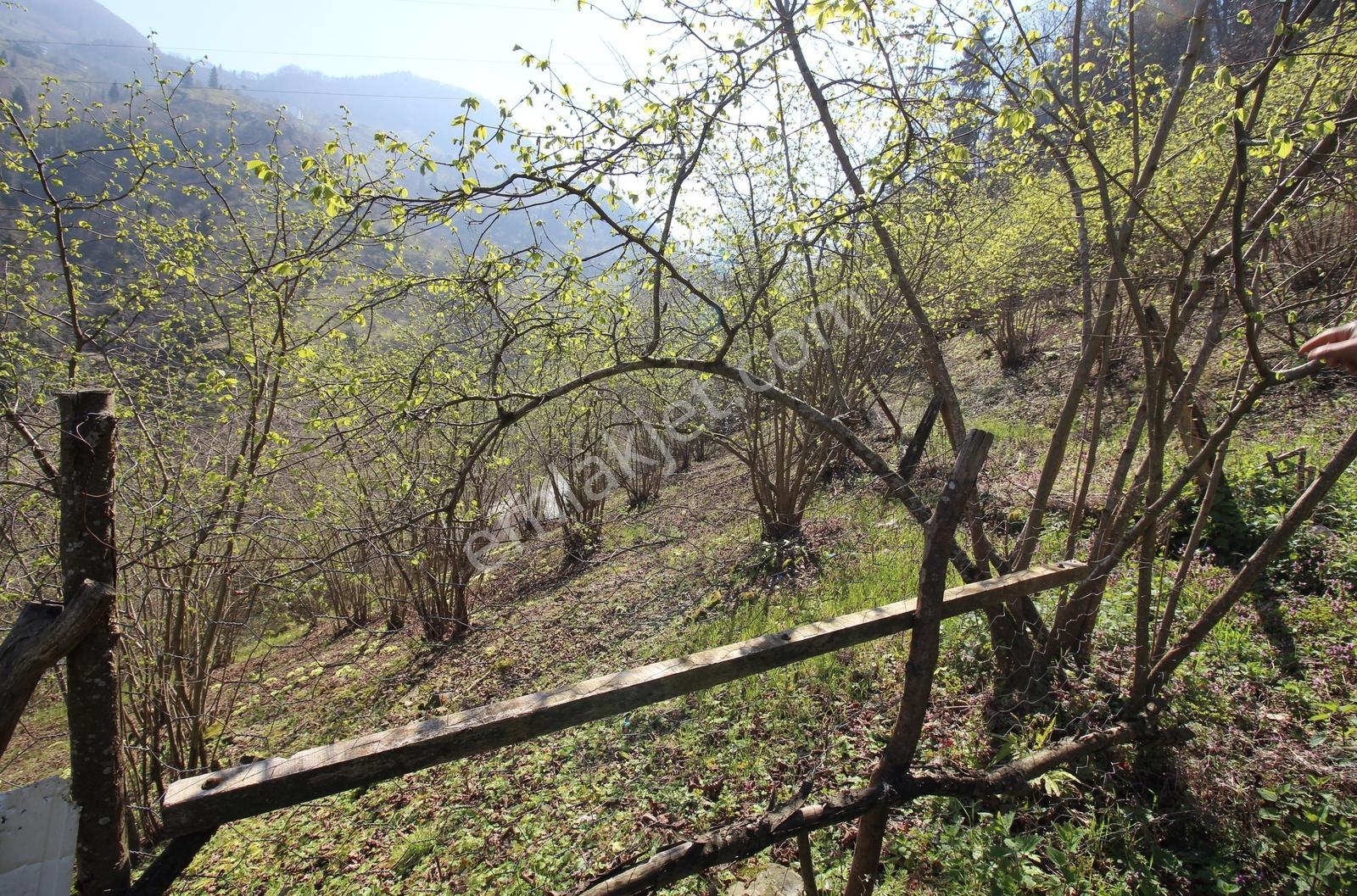 Kaçmaz Emlak'tan Trabzon Yomra Gülyurdu Mah Satılık Arazı - Görsel 2