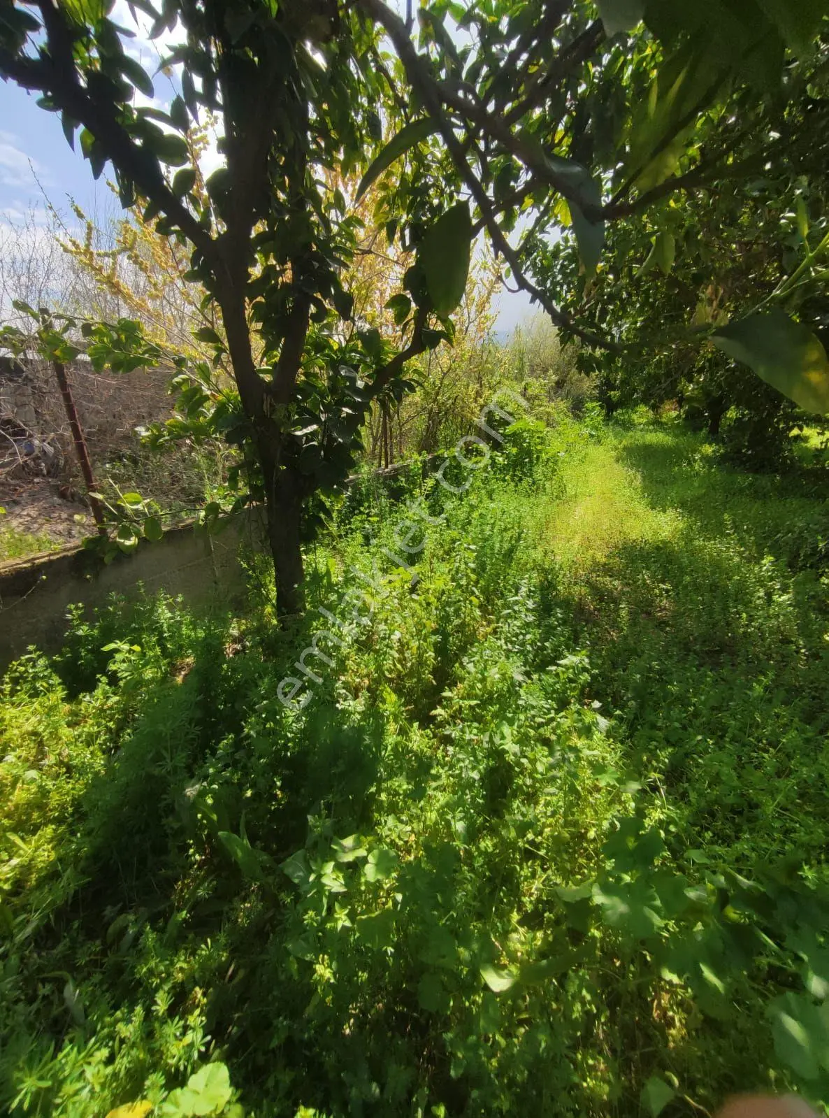 Aydın, Nazilli, Hamzalı Mahallesi'nde, 420 M², İmarlı, Yatırımcılar İçin Değerli Ve Prestijli Arsa. - Görsel 4