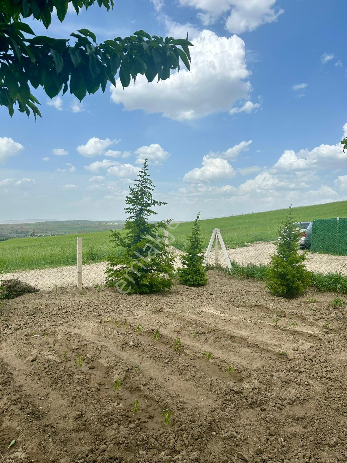 Yılmazer Den Peçenek Köyüne Yakın Tapulu Elektirikli 350m2 Bahçe - Görsel 22
