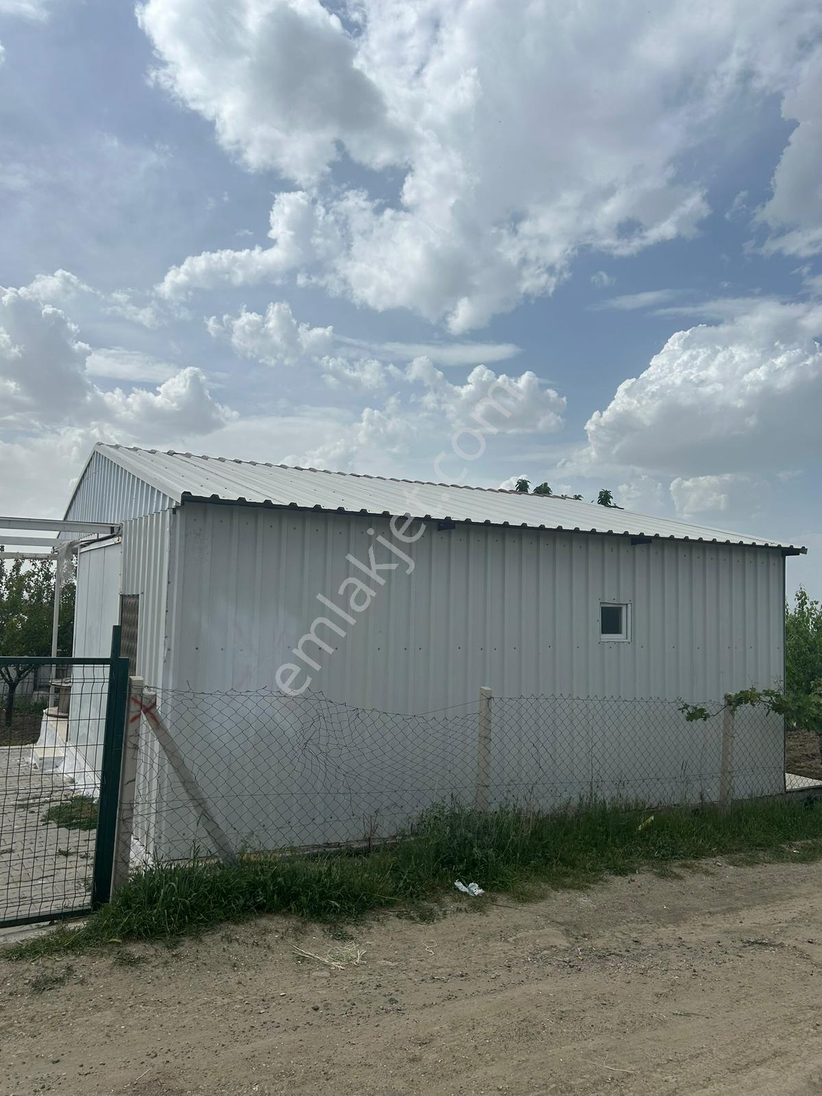 Yılmazer Den Peçenek Köyüne Yakın Tapulu Elektirikli 350m2 Bahçe - Görsel 17
