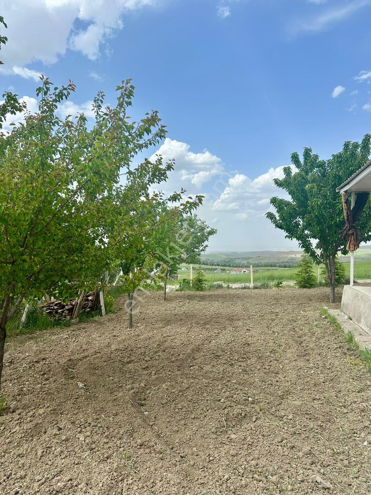 Yılmazer Den Peçenek Köyüne Yakın Tapulu Elektirikli 350m2 Bahçe - Görsel 18
