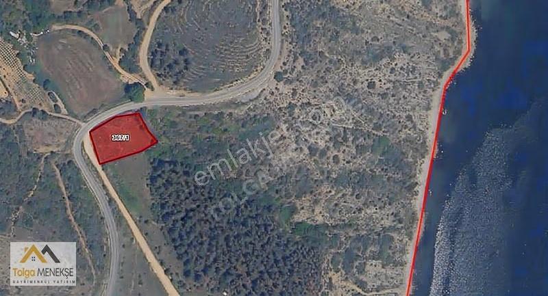 Kumbağ'da Yola Cephe Dut Limanı 1903 M2 Satılık Tarla