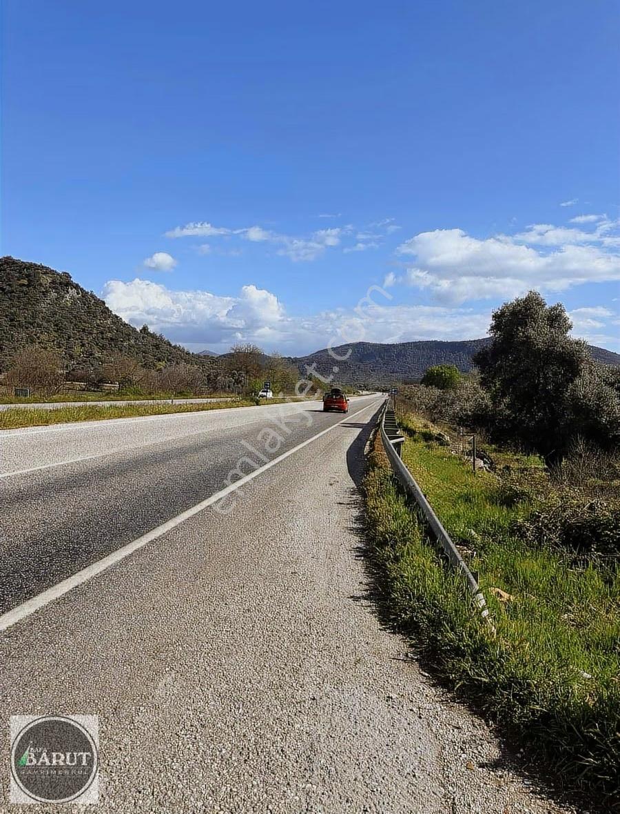 Selimiye De İzmir Bodrum Ana Yoluna Sıfır 55 Dönüm Fırsat Arazi - Görsel 10