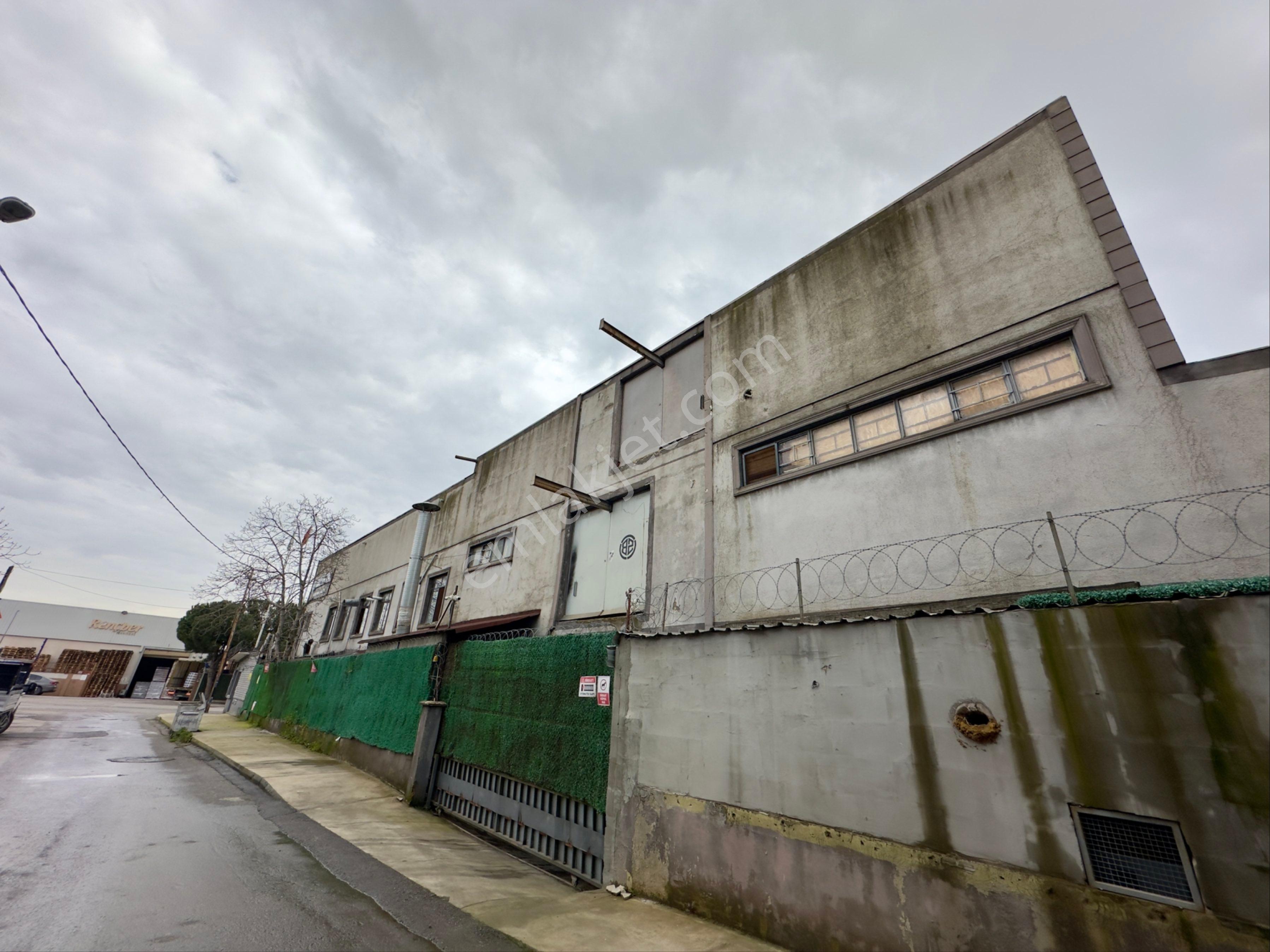 Kurtköy Sanayi’de 2300 M2 3 Katlı Kiralık Fabrika&üretim Tesisi - Görsel 4