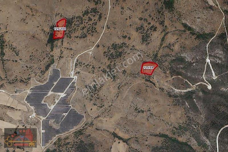 El/ya' Dan Ayvatlar Mah. 6158 M2 Mera + Ormana Sıfır Tarla - Görsel 3
