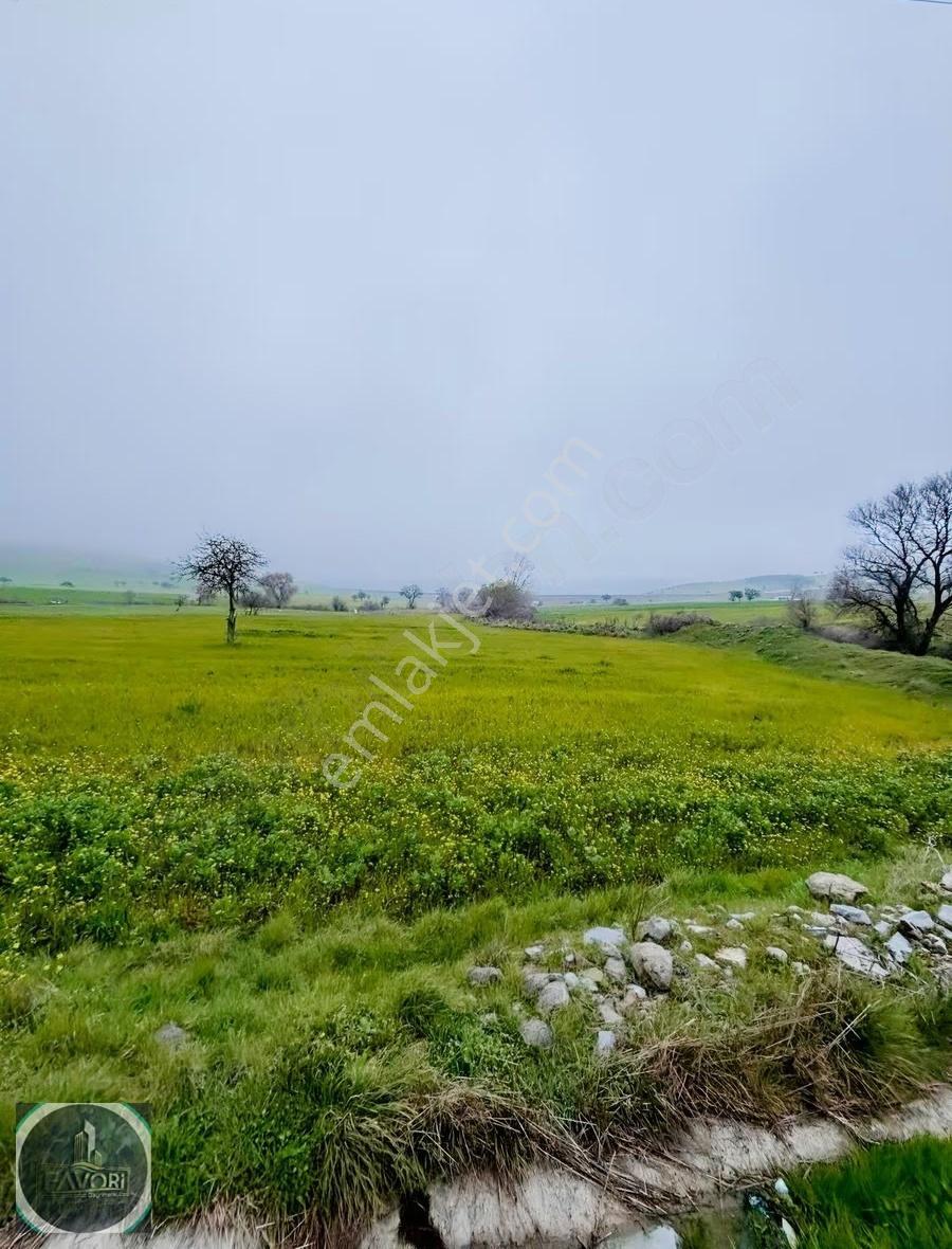 Favori Gayrimenkulden Yola Sıfır Elektrik Su Olan 16600 M² Tarla - Görsel 8