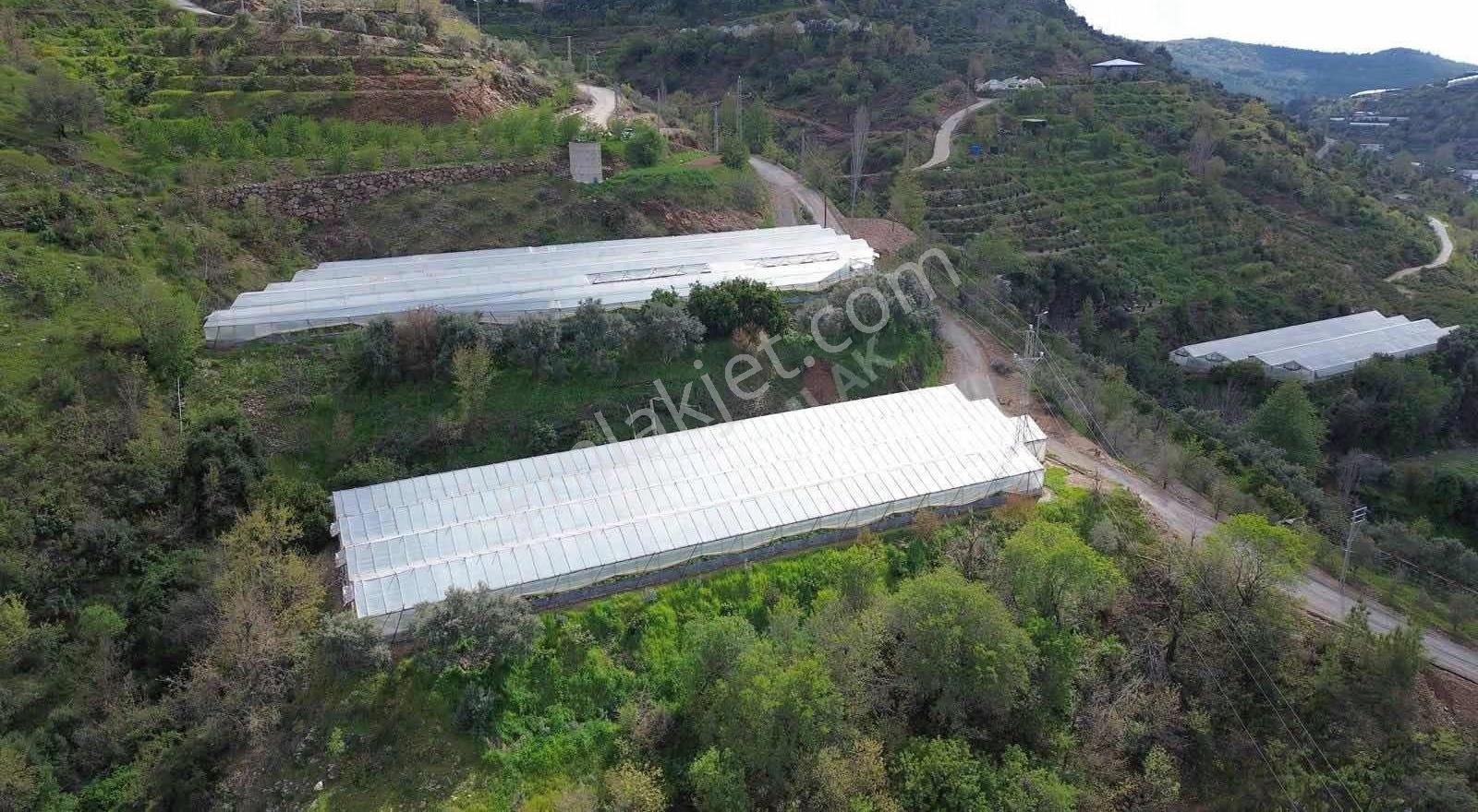 E.k.ç Emlaktan Satılık Soğukpınar Mah 2900m2 Sera