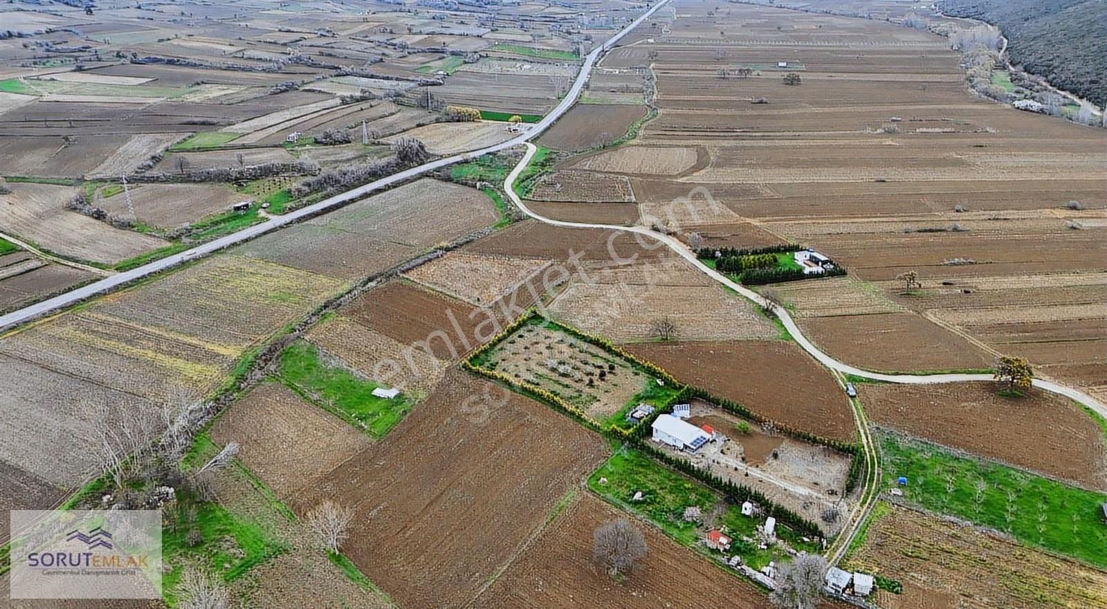 Keşan Mecidiye'de Sahile Yakın 1004 M² Satılık Müstakil Tarla - Görsel 25