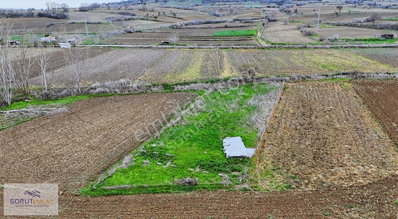 Keşan Mecidiye'de Sahile Yakın 1004 M² Satılık Müstakil Tarla - Görsel 7
