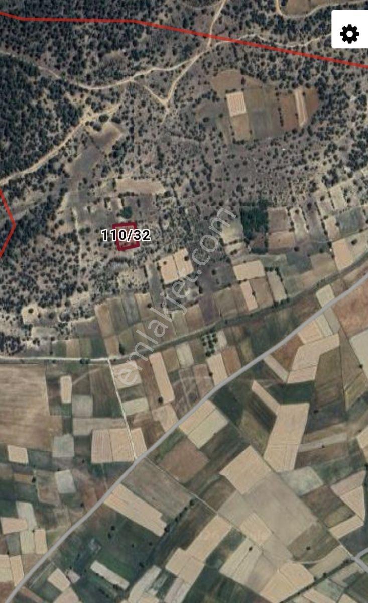 Burdur Merkez Kapaklı Köyünde İçinde 20 30 Adet Ardıç Ağaçları - Görsel 2