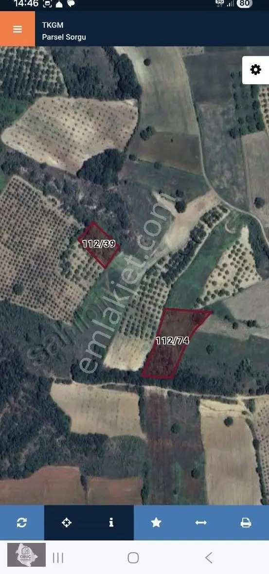 Hamamlıda Acil Satılık İki Parça Tarla Toplam 5.200 M2