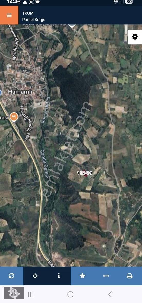 Hamamlıda Acil Satılık İki Parça Tarla Toplam 5.200 M2 - Görsel 3