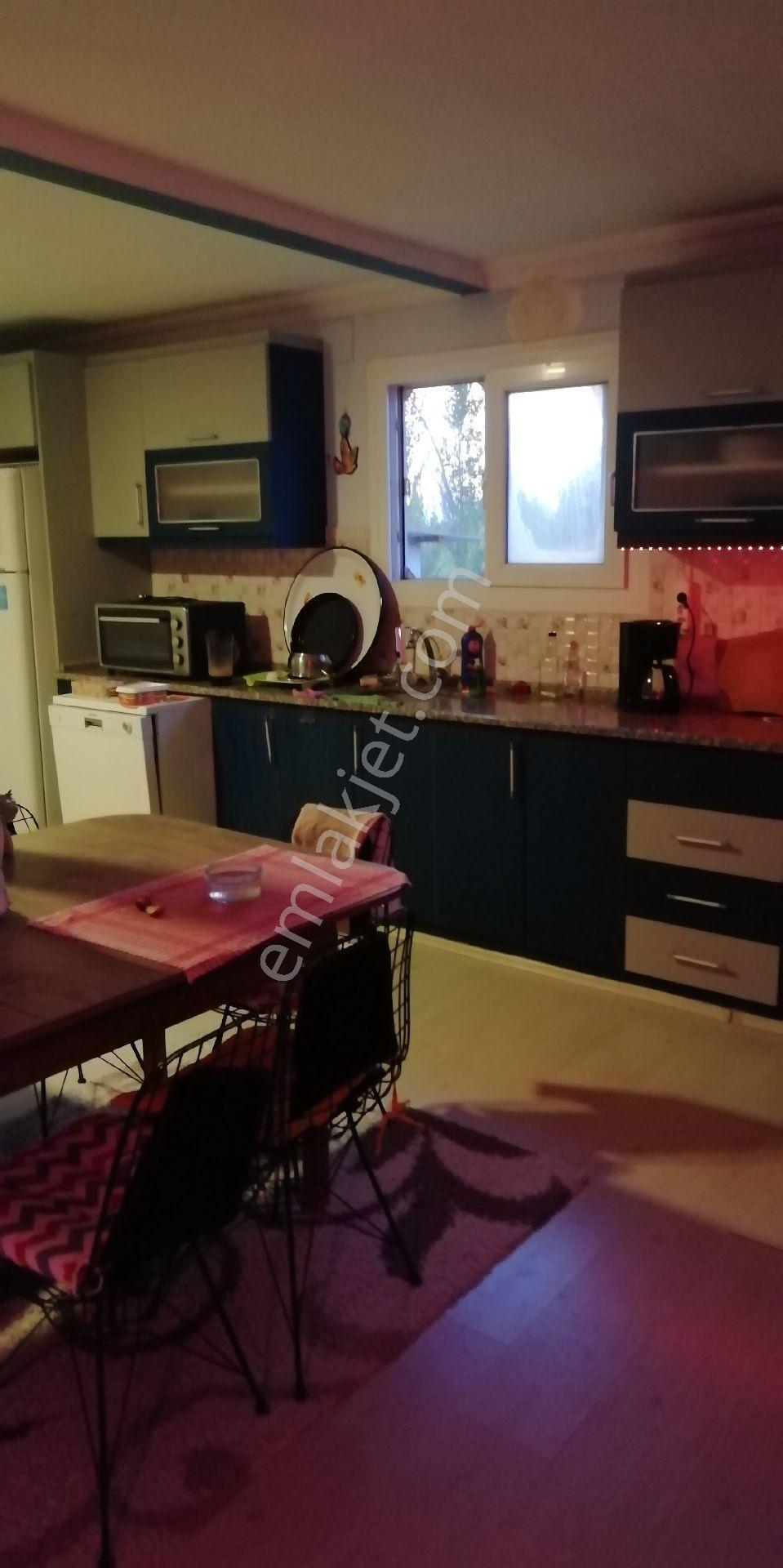 Çiftlik Evi - Görsel 2