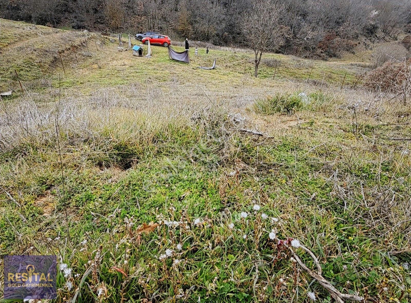 Bursa Kestel Gölcük İçinde Ahşap Ev Bulunan Satılık Tarla - Görsel 2