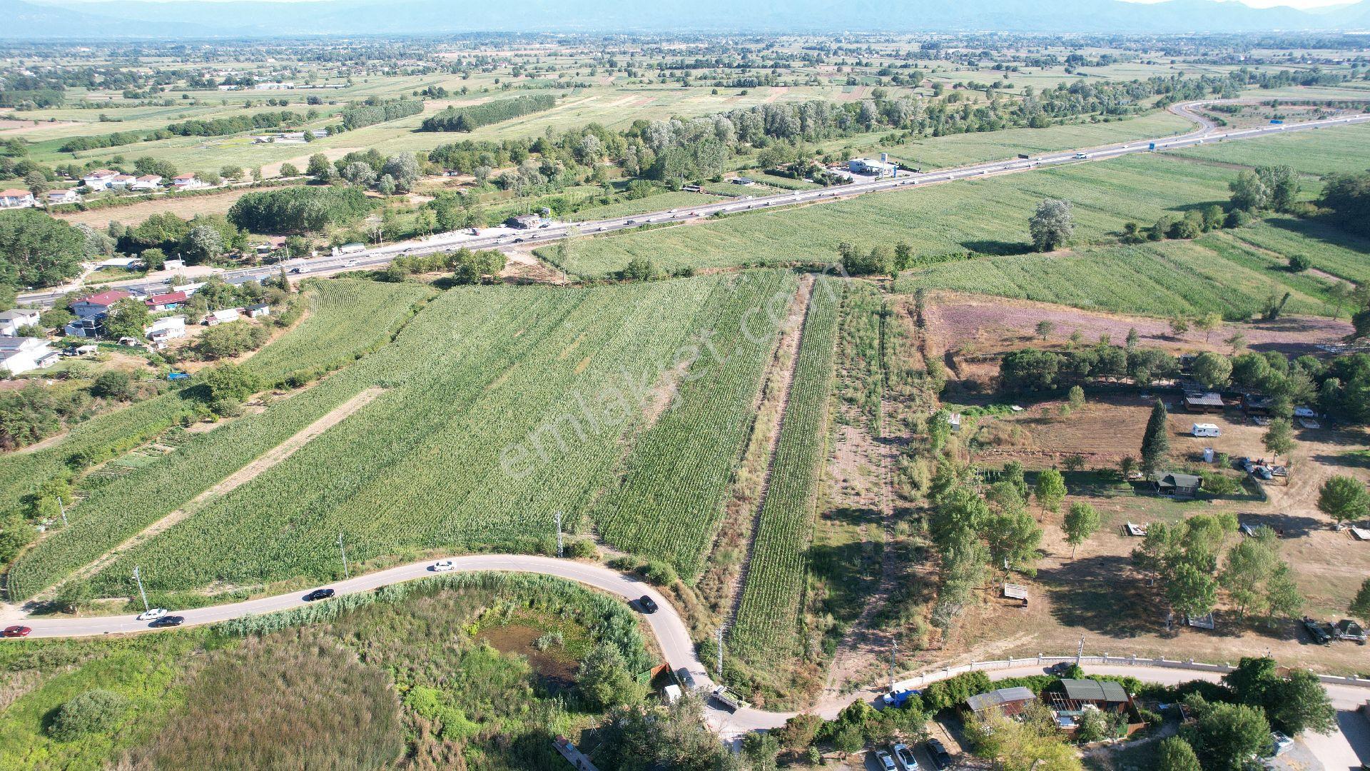 Poyrazlar Gölü Tabiat Parkı Yanında 6.402 M² Kiralık Arazi - Görsel 2