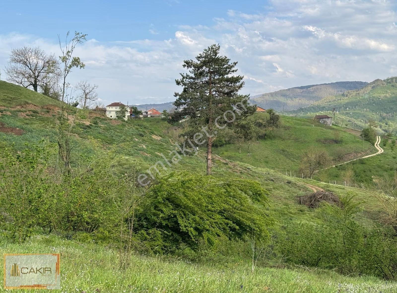 Düzce Yığılca Tıraşlar Doğanın İçinde Harika Konumda Tarla - Görsel 3