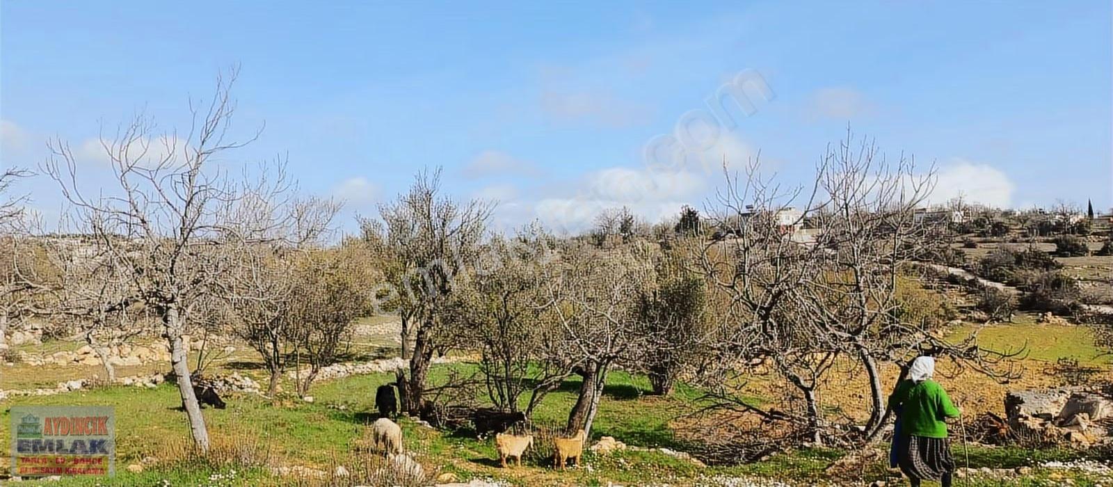Aydıncık Emlaktan Satılık Tarla 4173m2 - Görsel 5