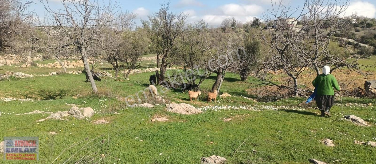 Aydıncık Emlaktan Satılık Tarla 4173m2