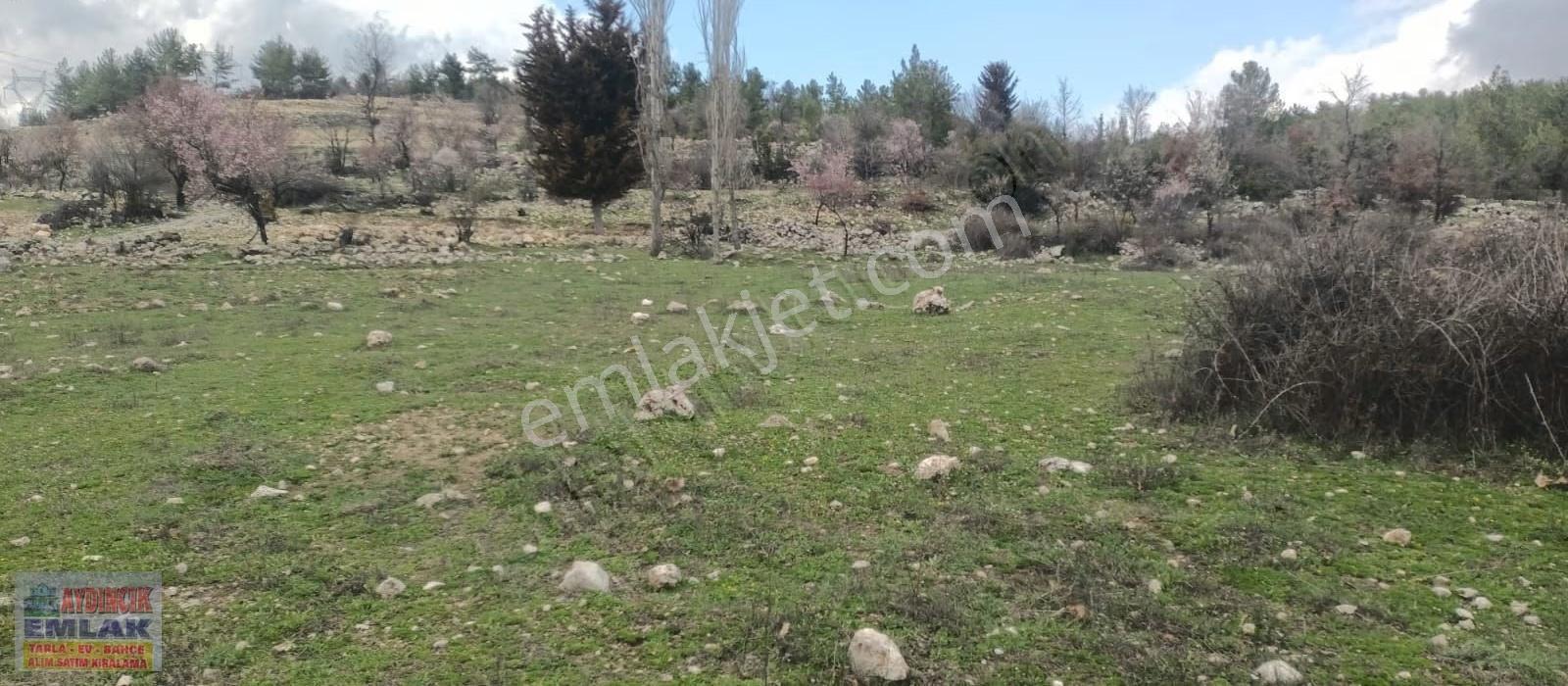 Aydıncık Emlaktan Satılık Tarla 11849m2 - Görsel 10