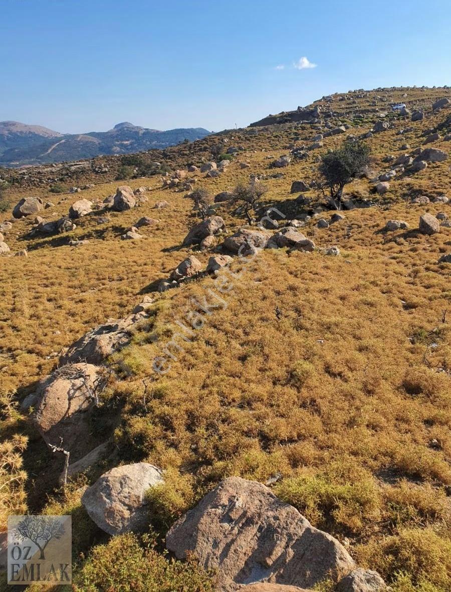 Çanakkale Gökçeada Öz Emlak'tan Çınar Altı Ve Tavernalara Komşu - Görsel 15