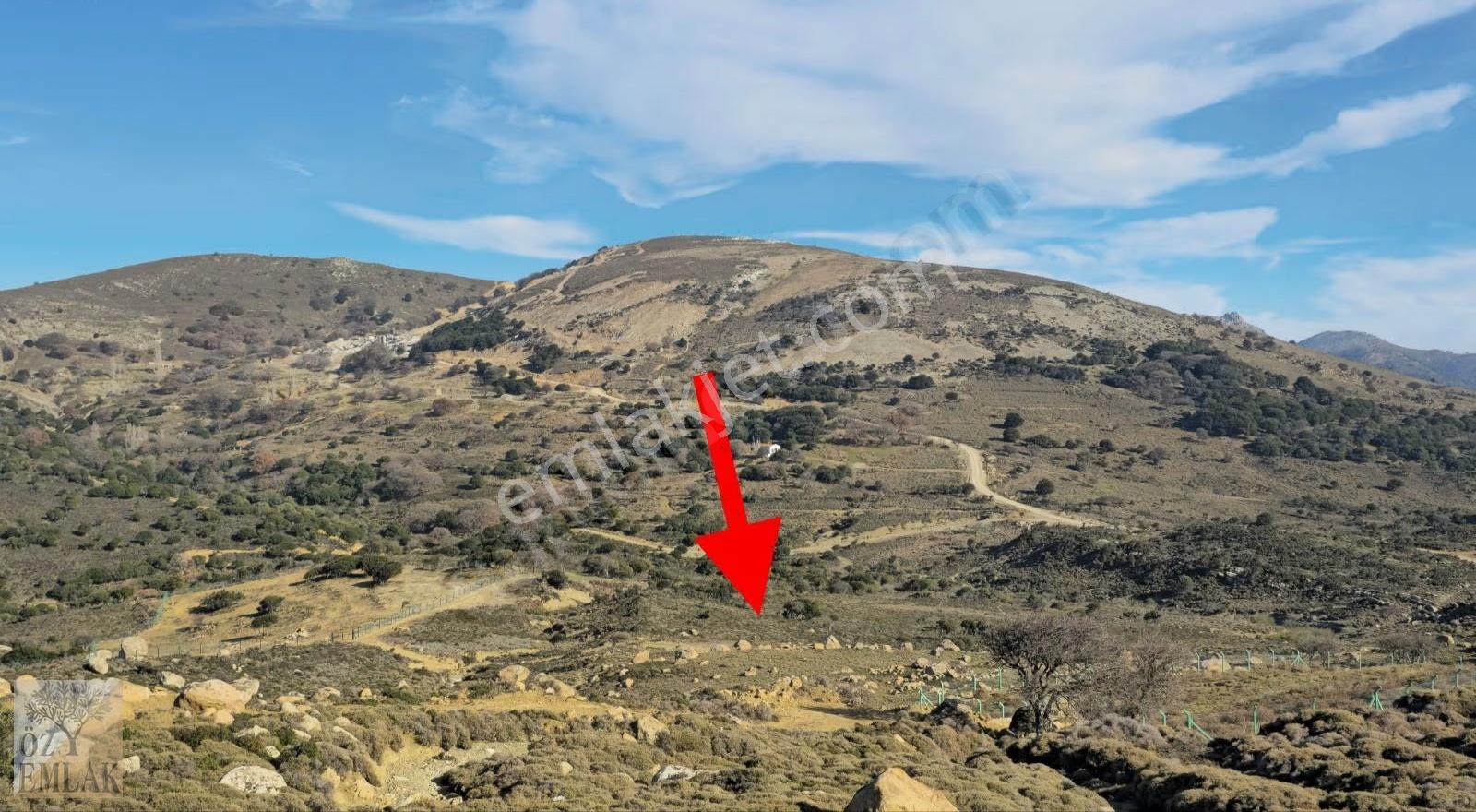 Çanakkale Gökçeada Öz Emlak'tan Çınar Altı Ve Tavernalara Komşu - Görsel 7