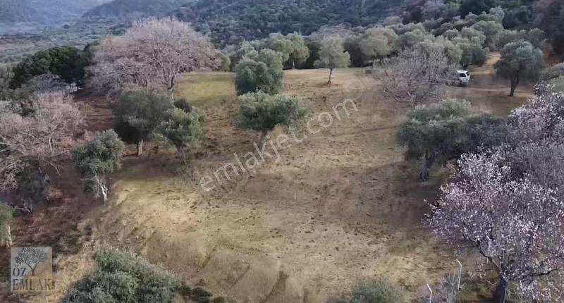 Çanakkale Gökçeada Öz Emlak'tan Deniz Manzaralı Merkeze Yakın - Görsel 2