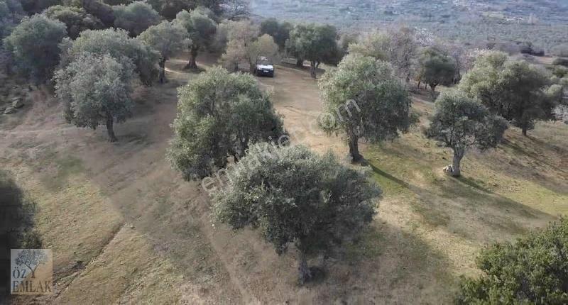 Çanakkale Gökçeada Öz Emlak'tan Deniz Manzaralı Merkeze Yakın - Görsel 15