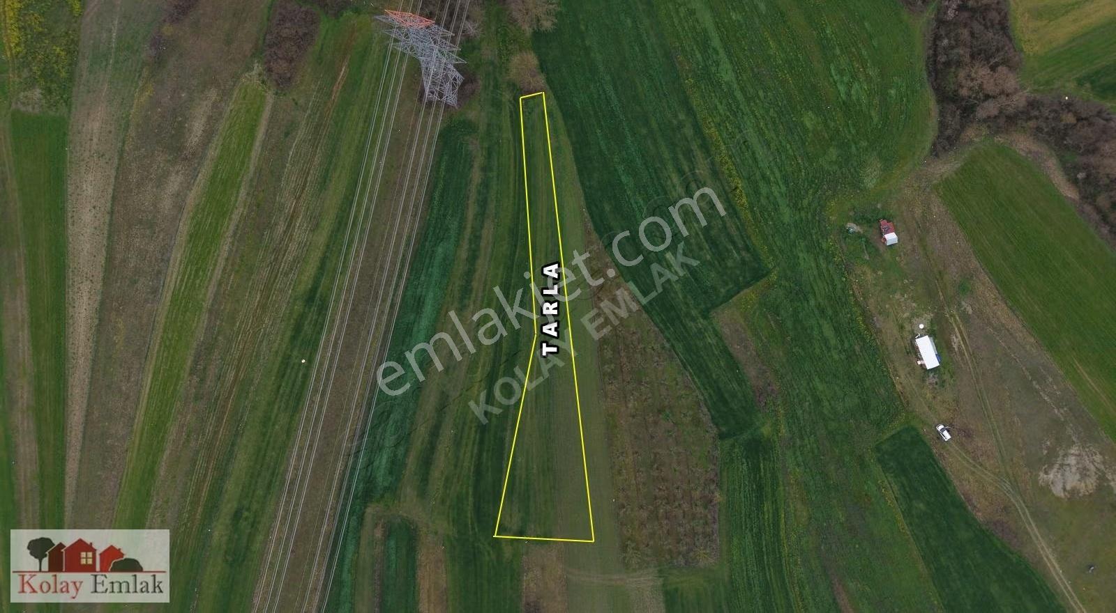 Kandıra Şerefsungurda 1011 M2 Yatırımlık Tarla - Görsel 2
