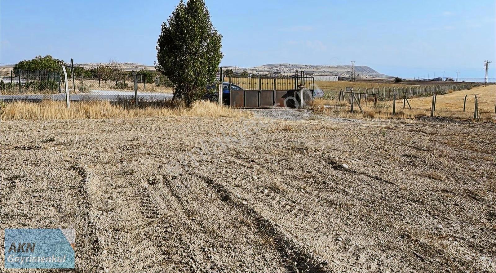 Akn'den Mollakasımda Yatırımlık Yazlık Arsa Kooperatif Hissseli - Görsel 19