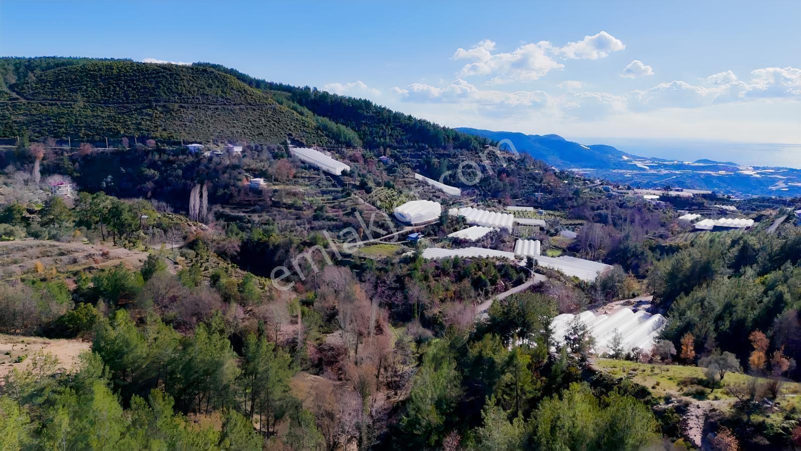 Alanya Kayabaşın'da Ruhsatlı Ev Yapmaya Uygun 1.437m2 Bahçe - Görsel 8