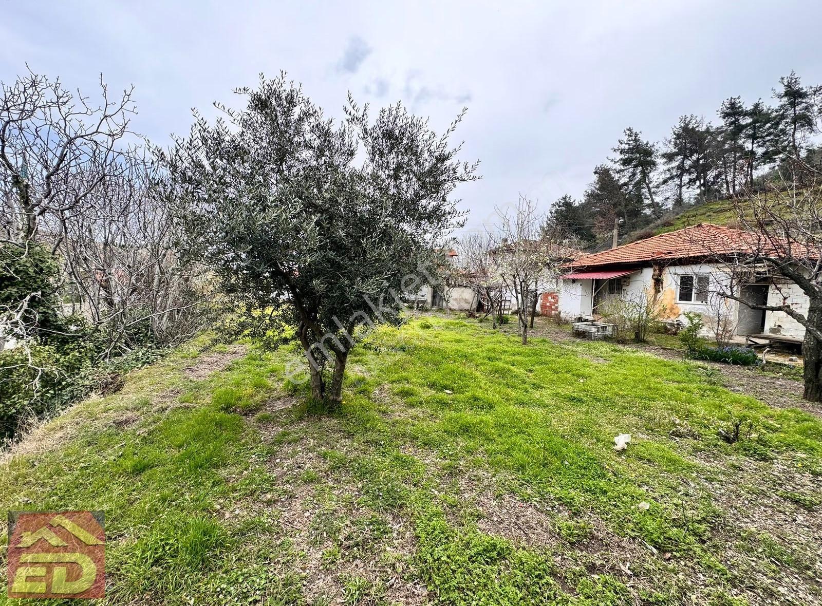 Dacğı Emlak Buldan Çaybaşı Ah Satılık 940 M2 Arsa İçinde Ev - Görsel 4