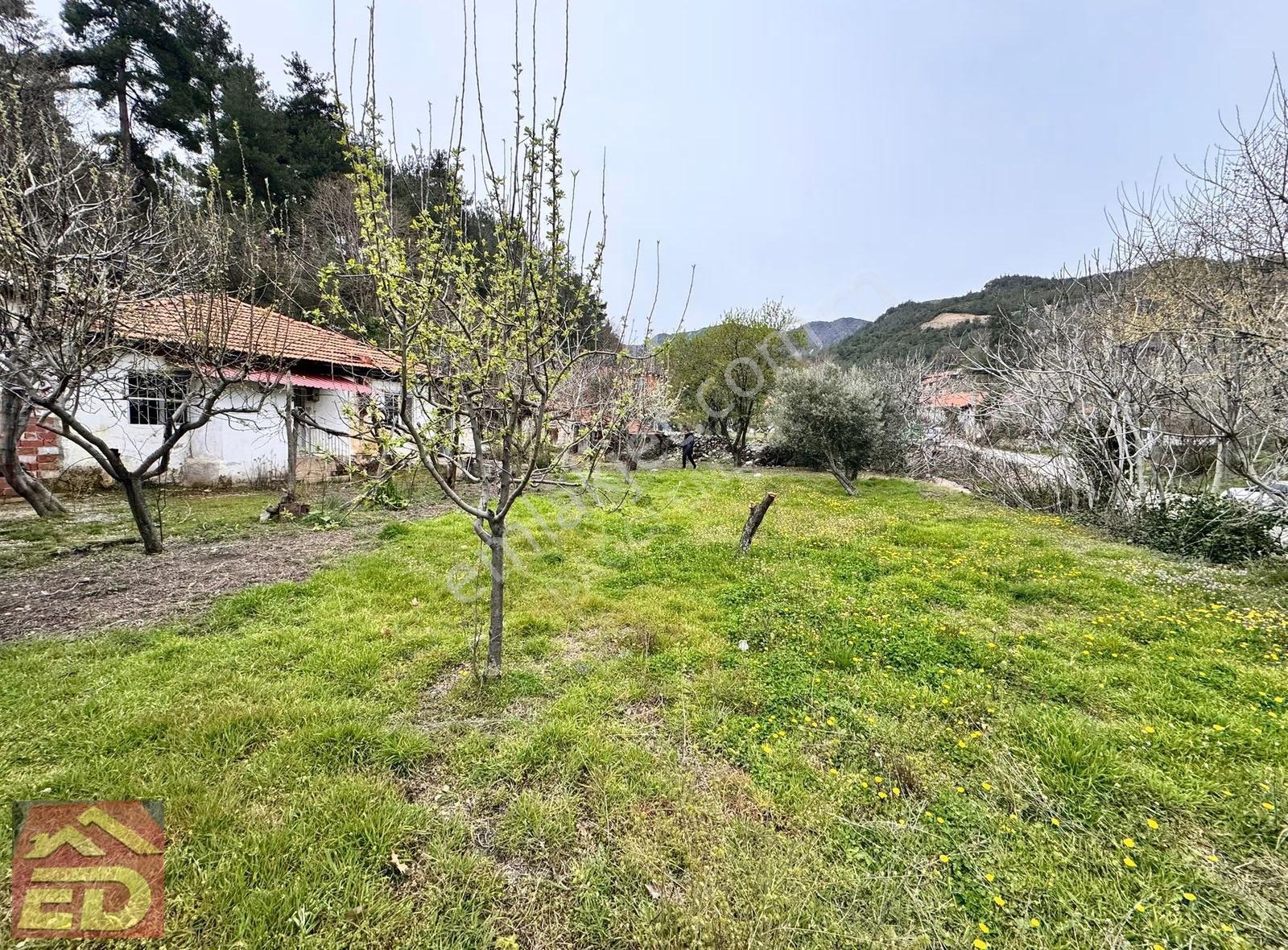 Dacğı Emlak Buldan Çaybaşı Ah Satılık 940 M2 Arsa İçinde Ev - Görsel 12