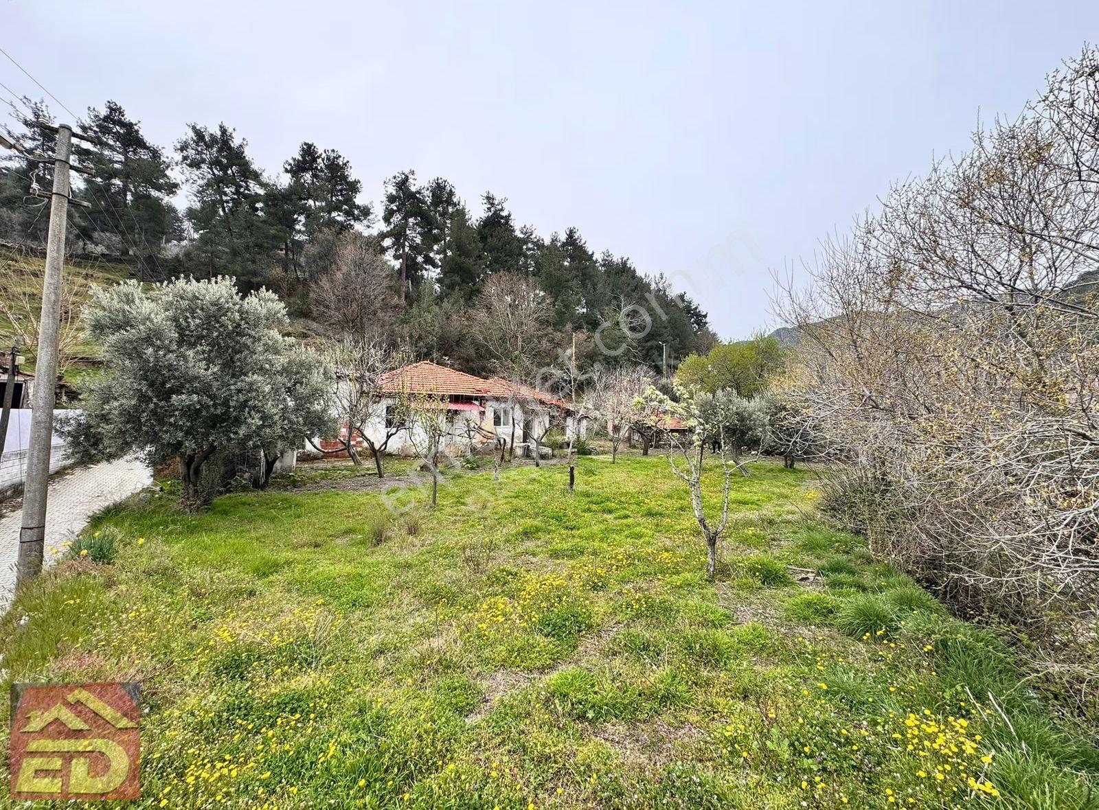 Dacğı Emlak Buldan Çaybaşı Ah Satılık 940 M2 Arsa İçinde Ev - Görsel 11