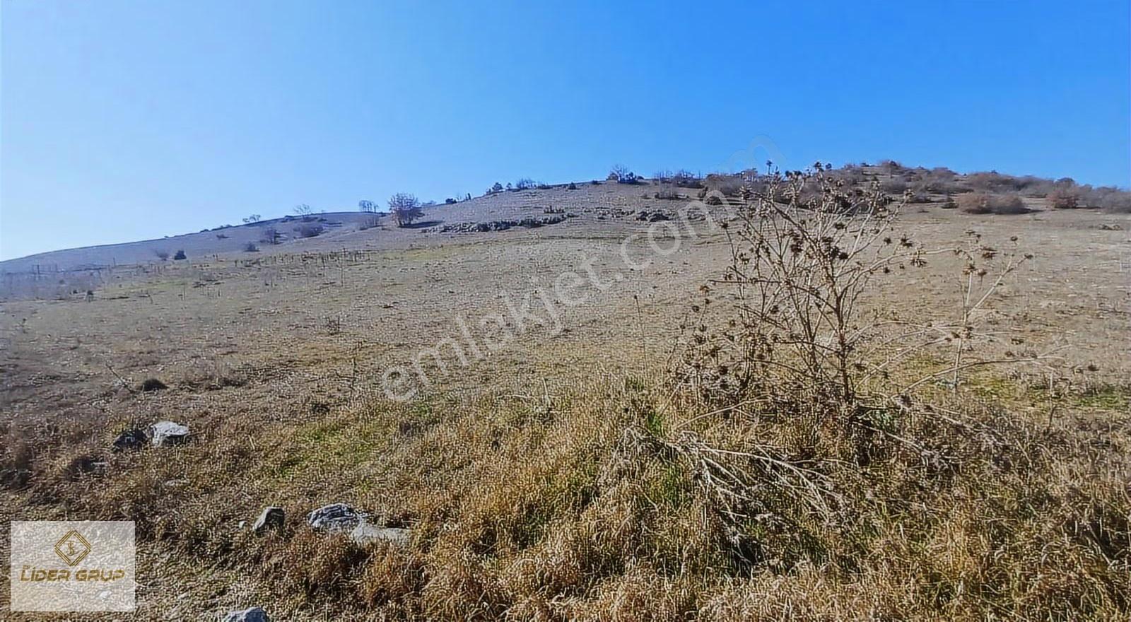 Eslider Gayrimenkulden Yenisofçada Tarla - Görsel 2