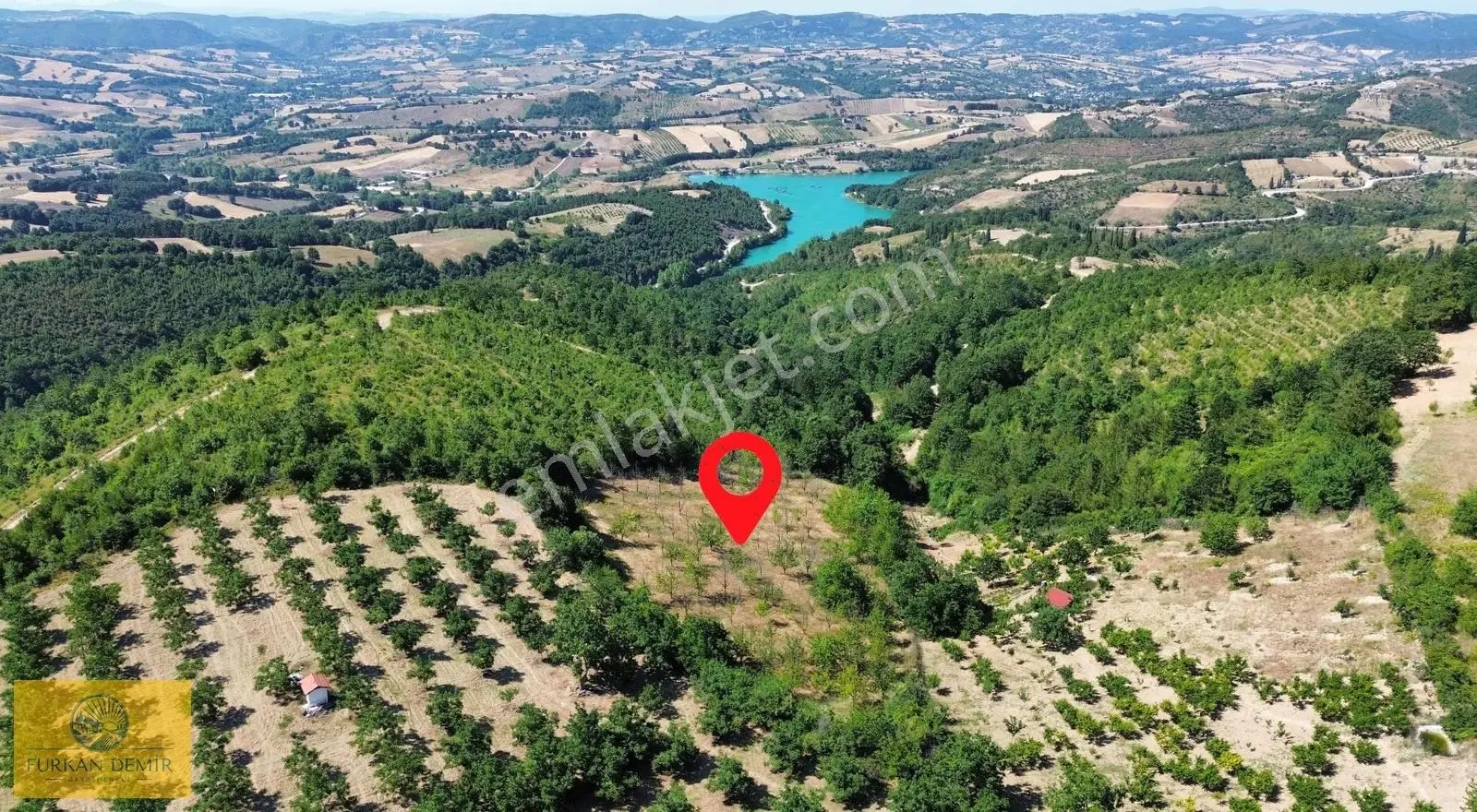 Furkan Demir'den Karamürsel Çamdibi 5900 M2 Satılık Fırsat Bahçe