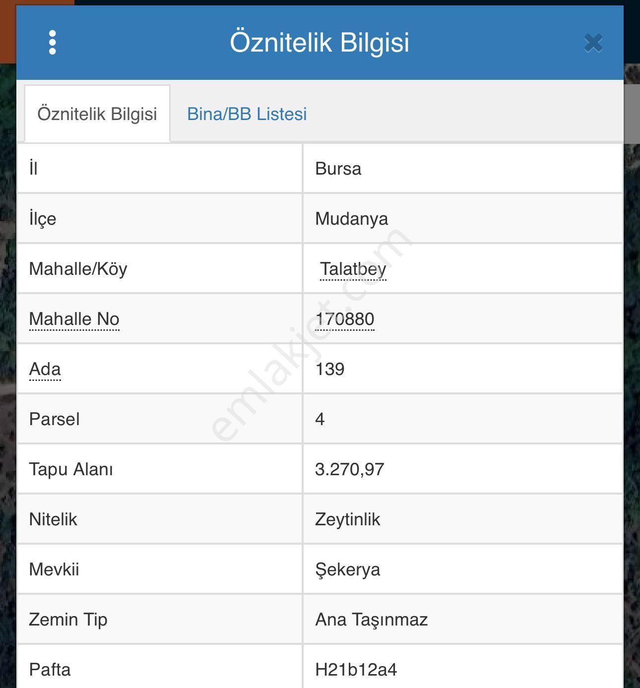 Bursa Mudanya Talatbey De Zeytinlik - Görsel 2