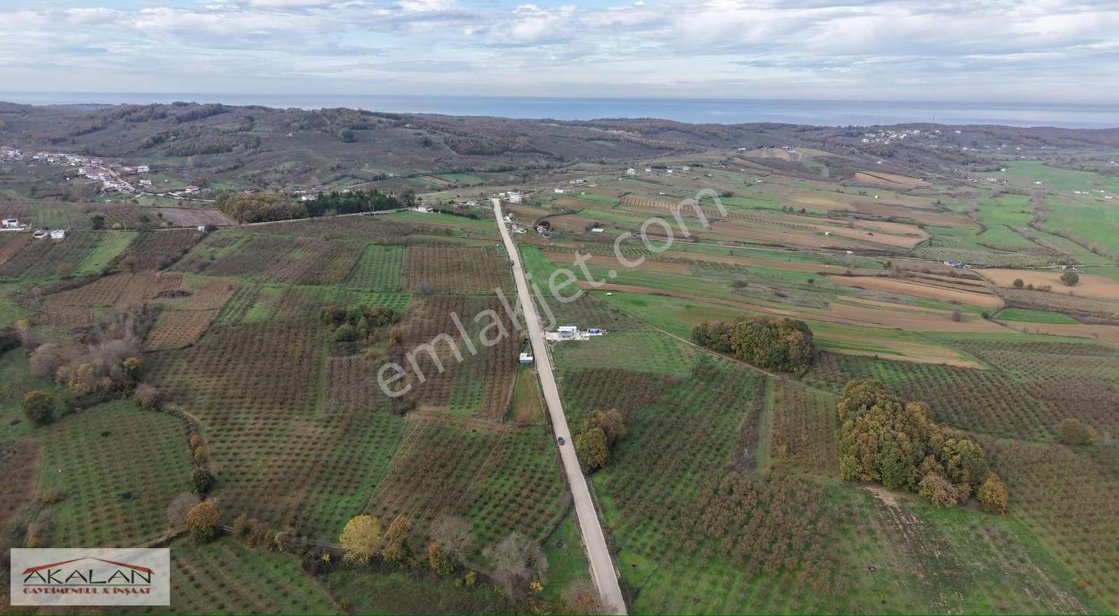 Kandıra Bollu Mah Denize 3 Dk Mesafede Kupon Arazi - Görsel 3