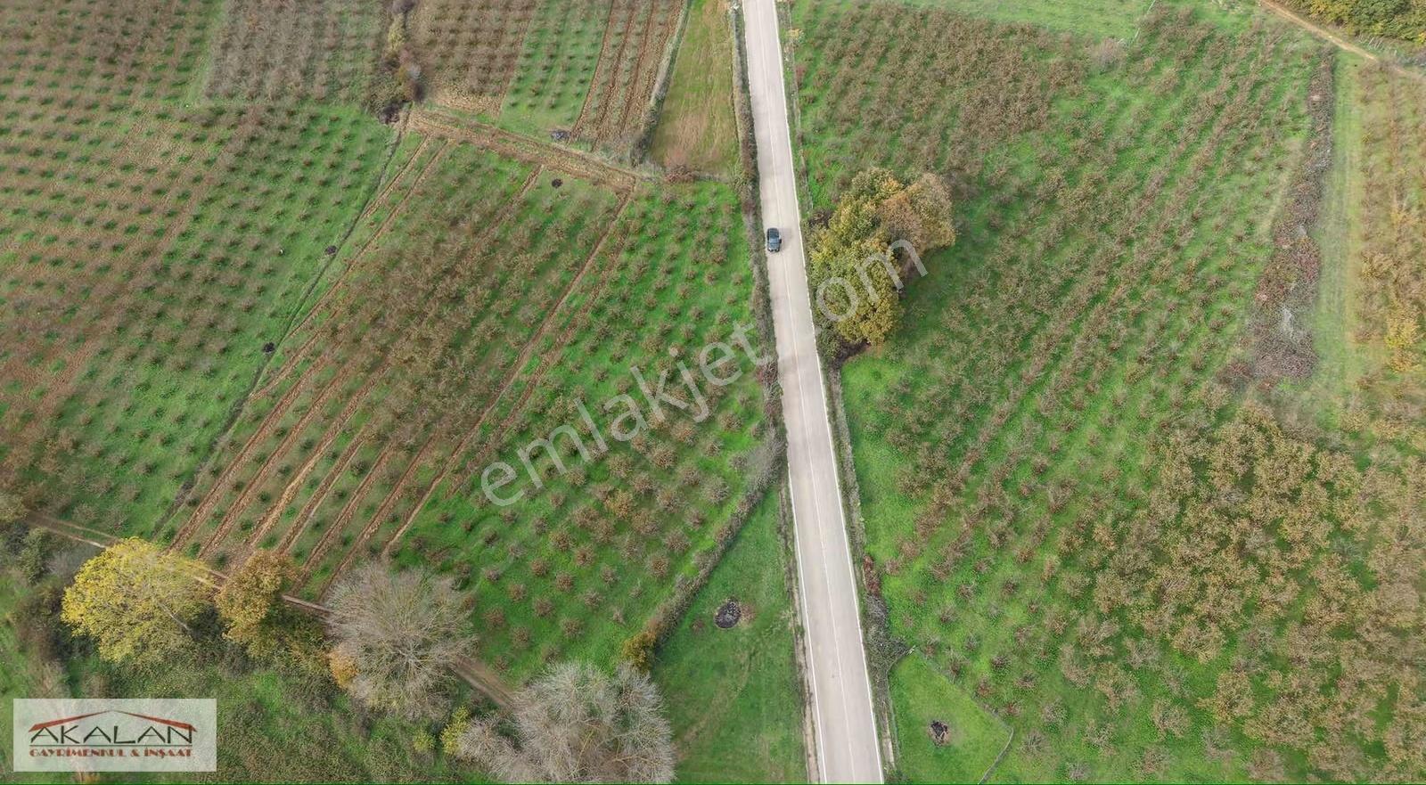 Kandıra Bollu Mah Denize 3 Dk Mesafede Kupon Arazi - Görsel 4