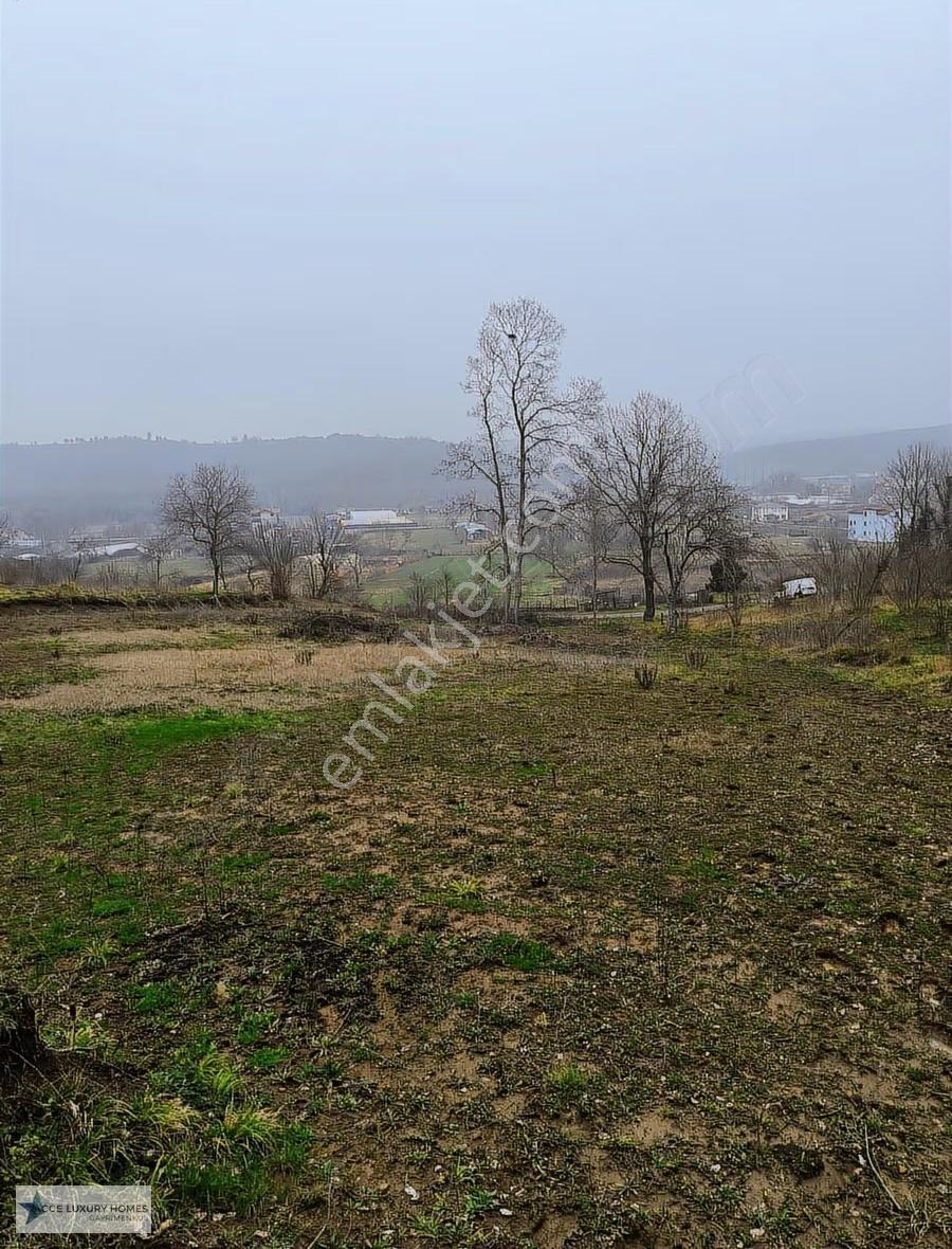 Beykoz Paşamandırada 2278 M² Doğa İçinde Yatırımlık Bahçe - Görsel 2