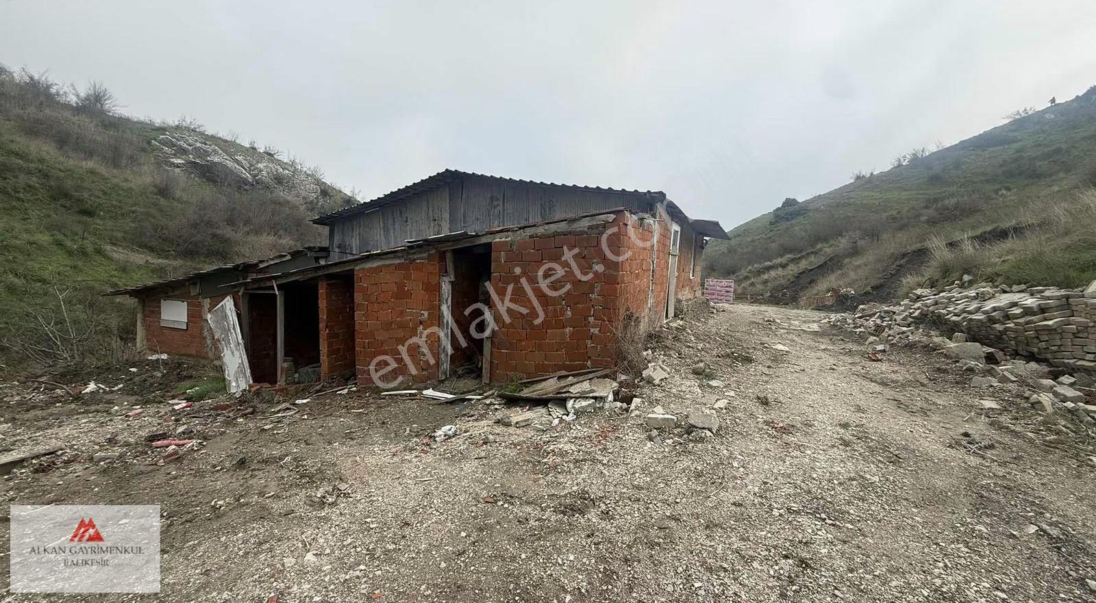 Baltokların Arkasında Satılık Sayası Olan Üçpınar Taplu Çiftlik - Görsel 13