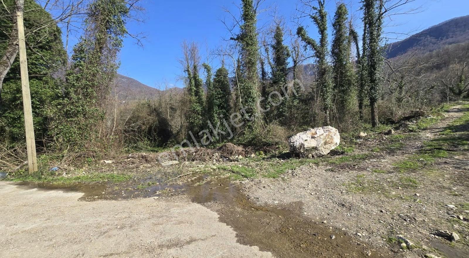 Cide İlkim Emlak'tan Satılık Hobi Bahçesine Uygun Tarla - Görsel 23