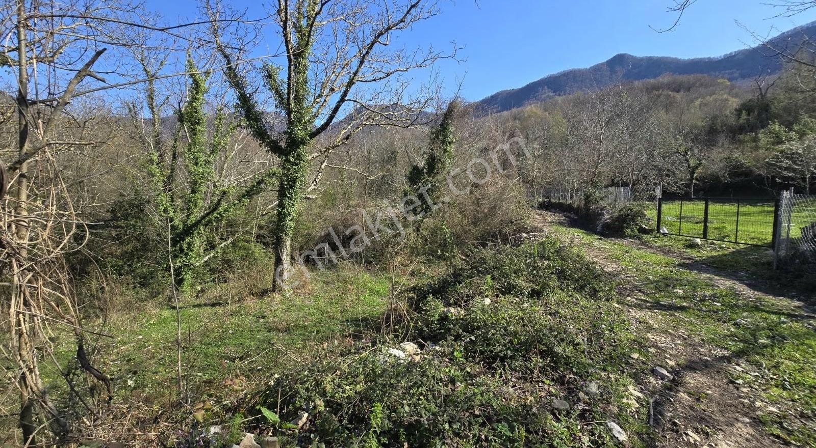Cide İlkim Emlak'tan Satılık Hobi Bahçesine Uygun Tarla - Görsel 18