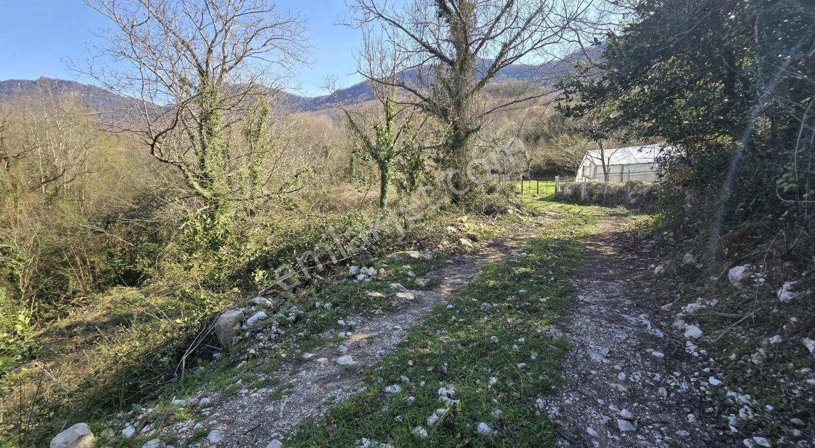 Cide İlkim Emlak'tan Satılık Hobi Bahçesine Uygun Tarla - Görsel 11