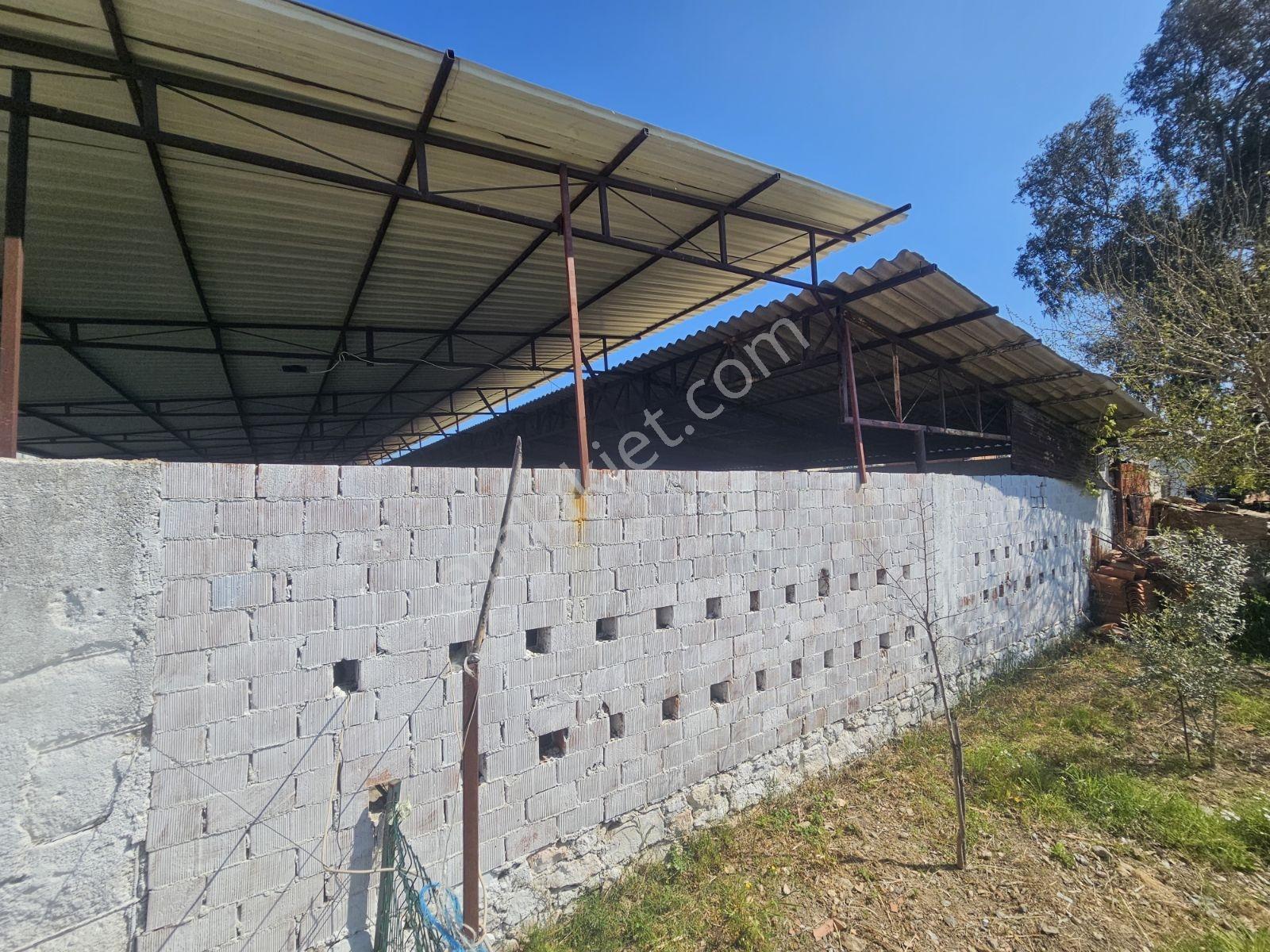 Söke Sarıkemerde Satılık 1061 M² Arsa Ve Depo - Görsel 5