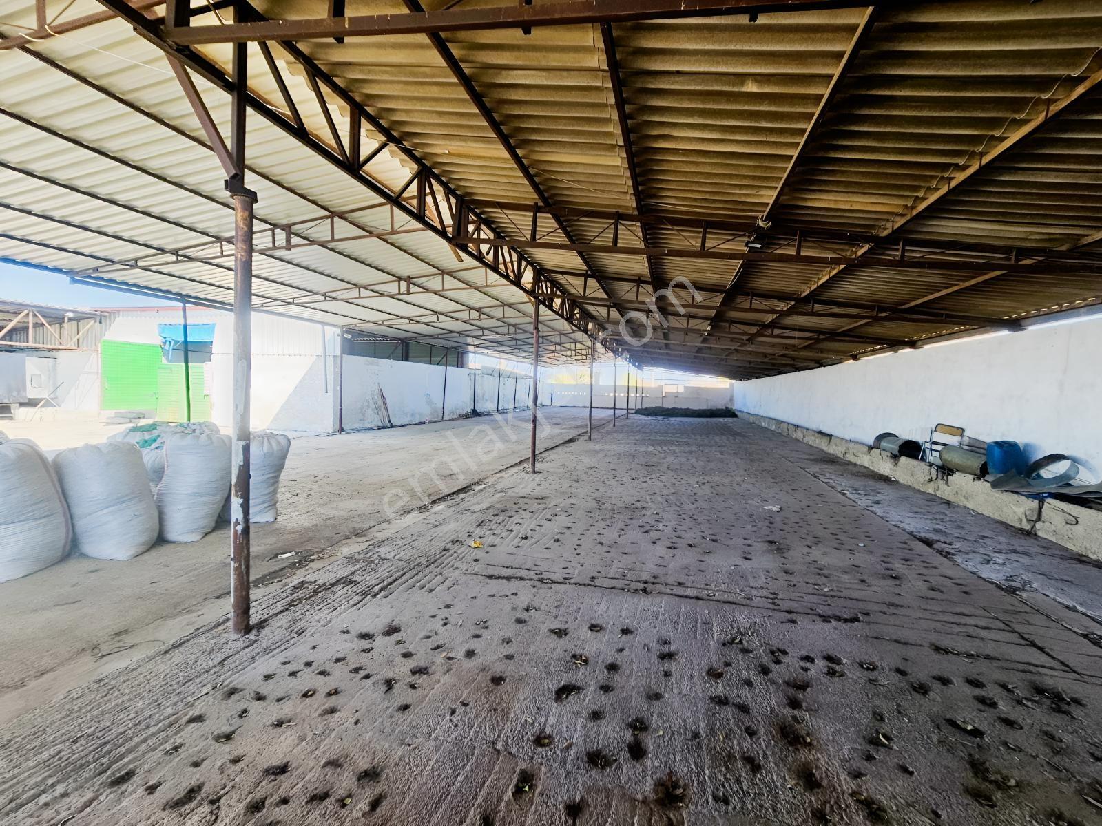 Söke Sarıkemerde Satılık 1061 M² Arsa Ve Depo - Görsel 7