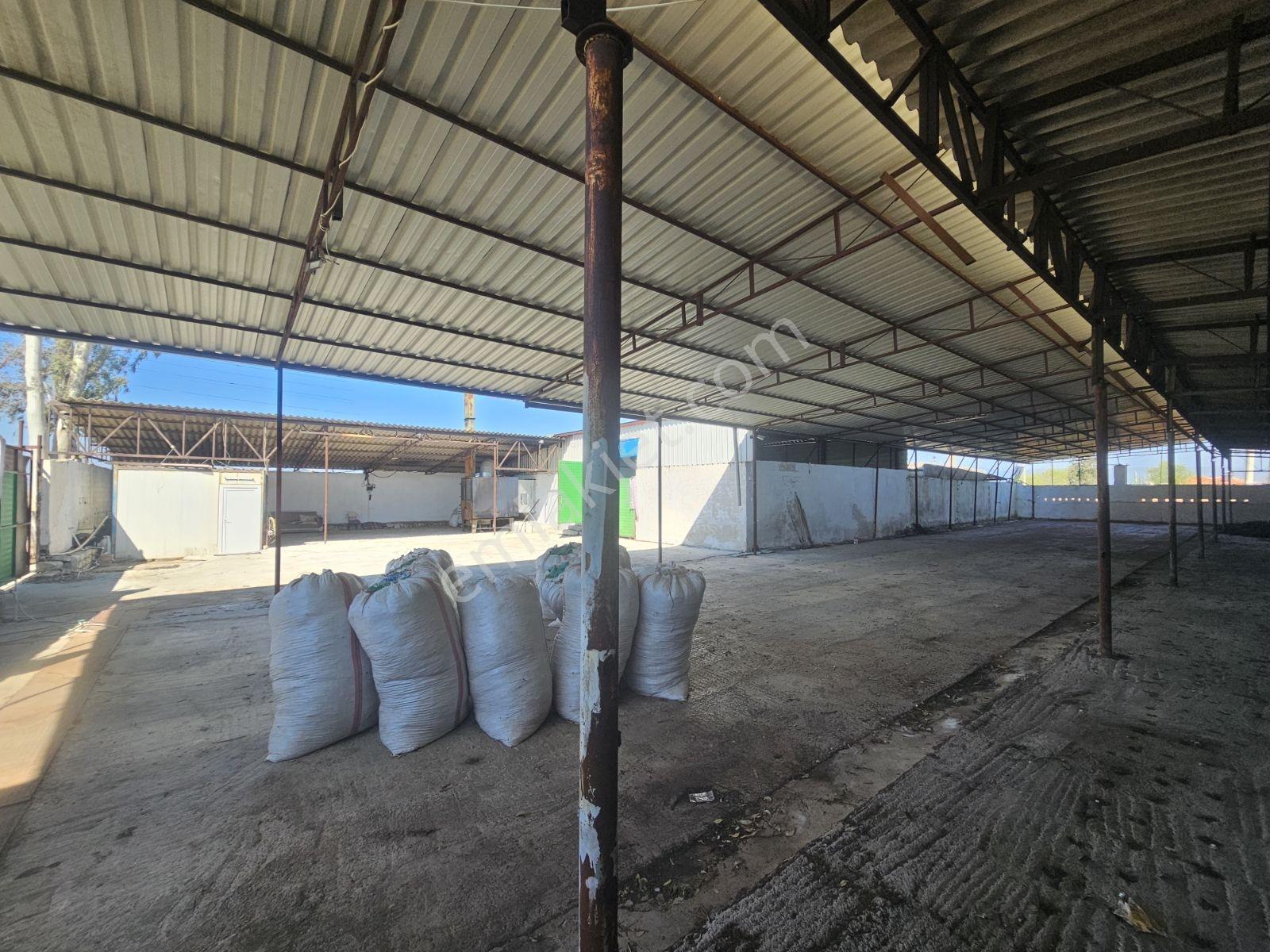 Söke Sarıkemerde Satılık 1061 M² Arsa Ve Depo - Görsel 17